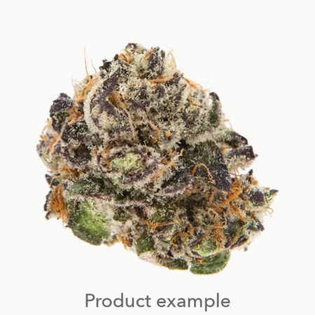 PURPLE REIGN - 14G TOP SHELF FLOWER