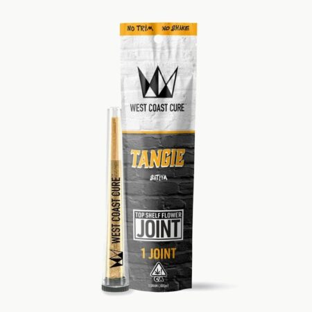 Tangie - Top Shelf CUREjoint 1g