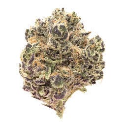 Purple Reign | Big Buds | |Top Shelf Flower | 28g