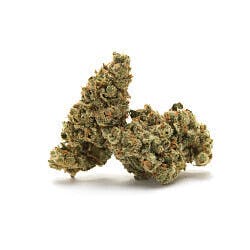 Trainwreck | Big Buds | |Top Shelf Flower | 14g