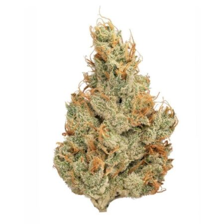 Tangie Express| Big Buds | |Top Shelf Flower | 14g