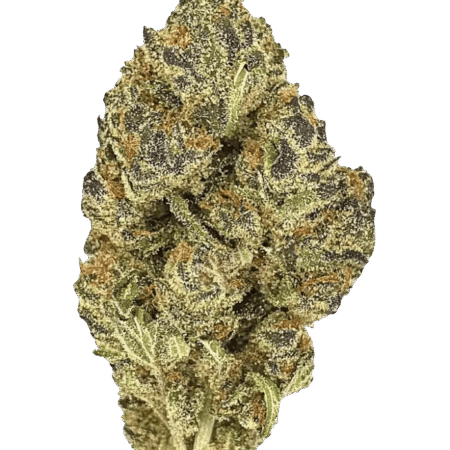 Z Dolce | Big Buds | Premium Flower | 28g