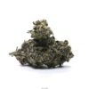 Astro Candy - EX Premium Shelf