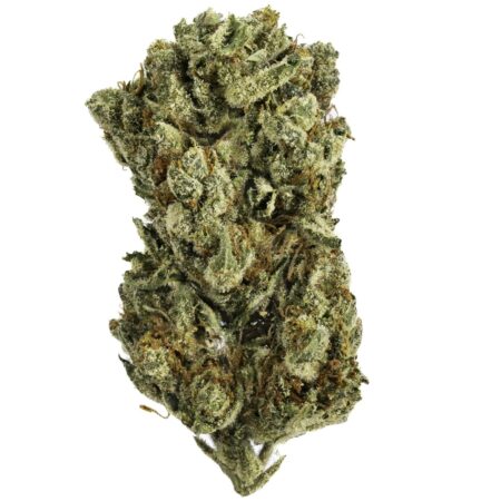 Guava Gelato - 14G Premium Flower