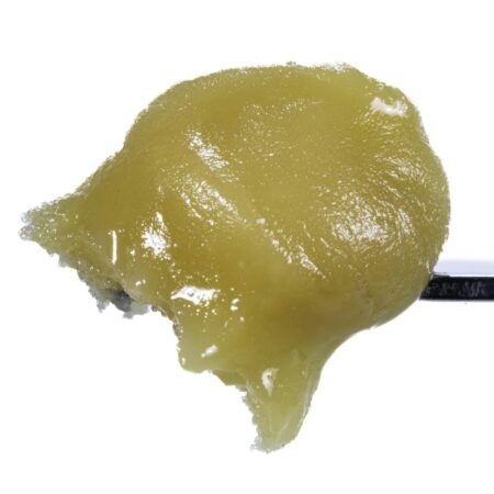Banana Cream Pie - 1G Live Resin Badder