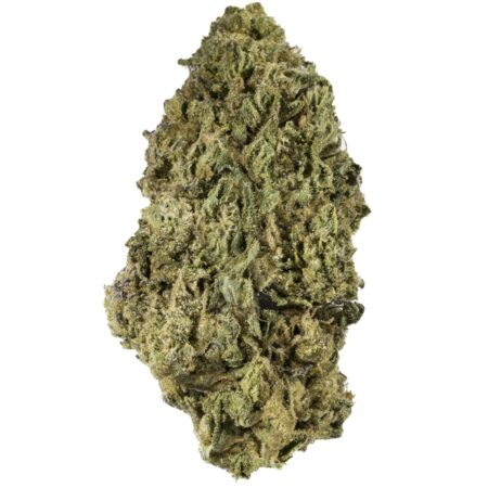 Georgia Pie - 28G Premium Flower