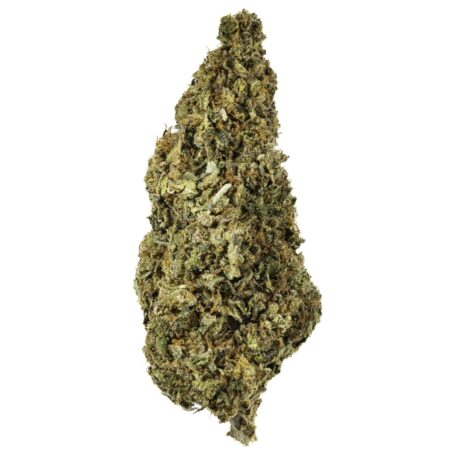 Gummy Buns - 14G Premium Flower